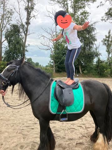 Pony rijden, ook voor de allerkleinsten  beschikbaar voor biedingen