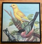 Schilderij Botanische tekeningen tropische vogels, Ophalen