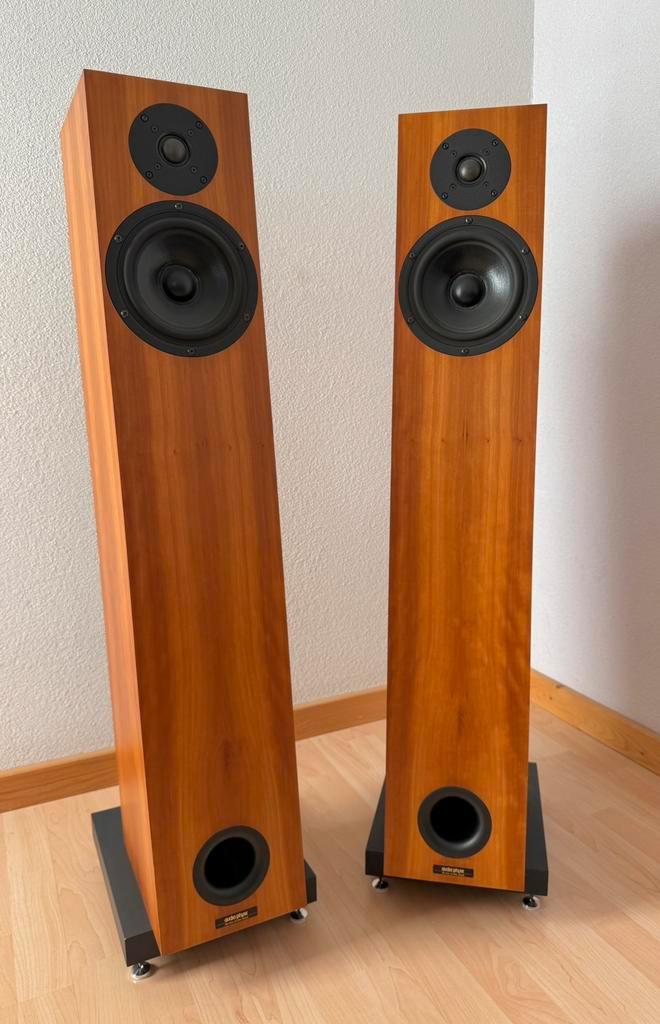 Audio Physic Tempo II SE luidspreker, Audio, Tv en Foto, Luidsprekers, Gebruikt, Front, Rear of Stereo speakers, 60 tot 120 watt