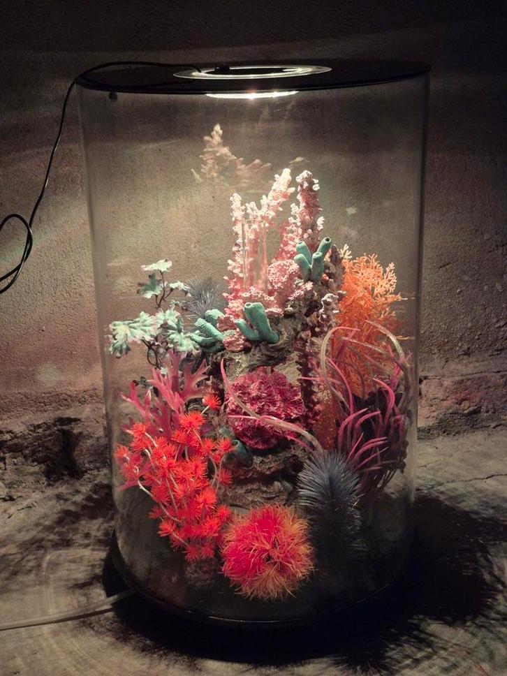 BiOrb Tube 30 LED kleur zwart set compleet aquarium rond, Dieren en Toebehoren, Vissen | Aquaria en Toebehoren, Zo goed als nieuw