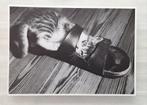 Kitten in slipper op houten vloer, Verzamelen, Ophalen of Verzenden, 1980 tot heden, Ongelopen, Hond of Kat