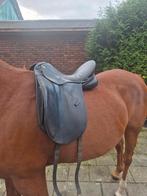 Dressuurzadel Pfiff 17,5", Ophalen, Gebruikt, Dressuur