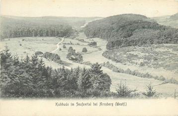 (701-411-037) Arnsberg Kuhhude in Seufzertal beschikbaar voor biedingen