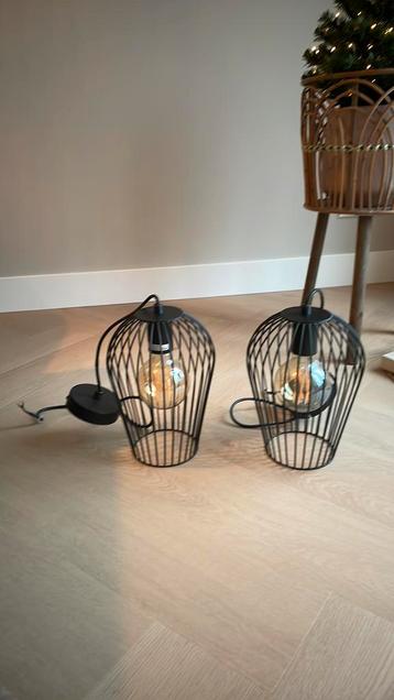 2 hanglampen beschikbaar voor biedingen