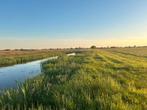 Biologisch natuurhooi te koop pakjes en balen, Ophalen, Vee