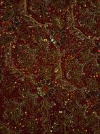 Dupatta uit India handgemaakt met duizenden glas kralen, Ophalen of Verzenden, Zo goed als nieuw