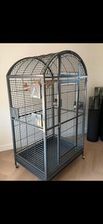 Zeer mooie papegaaien /ara kooi nieuw, Ophalen of Verzenden, Nieuw, Metaal, Vogelkooi