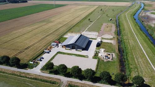 Plekken vrij en Stalling/weidegang aangeboden in Dordrecht ., Dieren en Toebehoren, Stalling en Weidegang, Weidegang