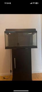 Aquarium, Ophalen of Verzenden, Zo goed als nieuw