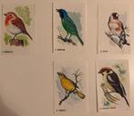 Vogel plaatjes voor het plaatjes plakboek, Bolletje jaren 60, Ophalen of Verzenden, Zo goed als nieuw, Plaatje
