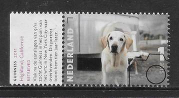 2015, Charlotte Dumas, Guinness [3331] (K2707) beschikbaar voor biedingen
