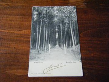 X34 - Ginneken - Eeuwige Laan - 1904 - Mooi/Oud beschikbaar voor biedingen