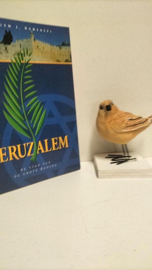 Ouweneel, Willem J.; Jeruzalem, Boeken, Godsdienst en Theologie, Gelezen, Christendom | Protestants, Ophalen of Verzenden