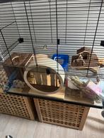 Grote hamsterkooi, compleet, Dieren en Toebehoren, Ophalen, Kooi, 60 tot 90 cm, Zo goed als nieuw