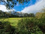 Gezocht, stuk grond/land/weiland, Dieren en Toebehoren, Stalling en Weidegang, 4 paarden of pony's of meer