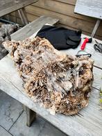 imposante kwarts met bijzondere groeivorm prachtig stuk., Ophalen of Verzenden