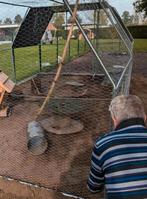 Kippenren konijnenren gegalvaniseerd staal 3x6x2, Dieren en Toebehoren, Ophalen, Zo goed als nieuw, Kippenhok of Kippenren