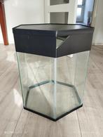 TERRARIUM VOOR DIER OF PLANT, Ophalen, Zo goed als nieuw, Terrarium of Paludarium