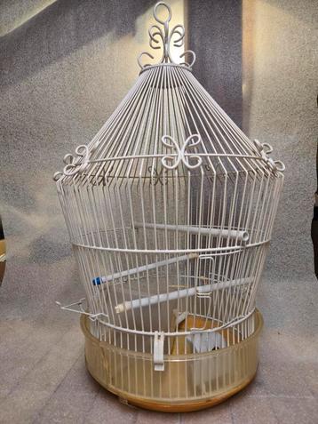 Prachtige antieke vogelkooi beschikbaar voor biedingen