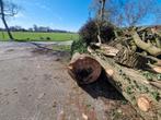 Eiken stammen, Tuin en Terras, Haardhout, Ophalen