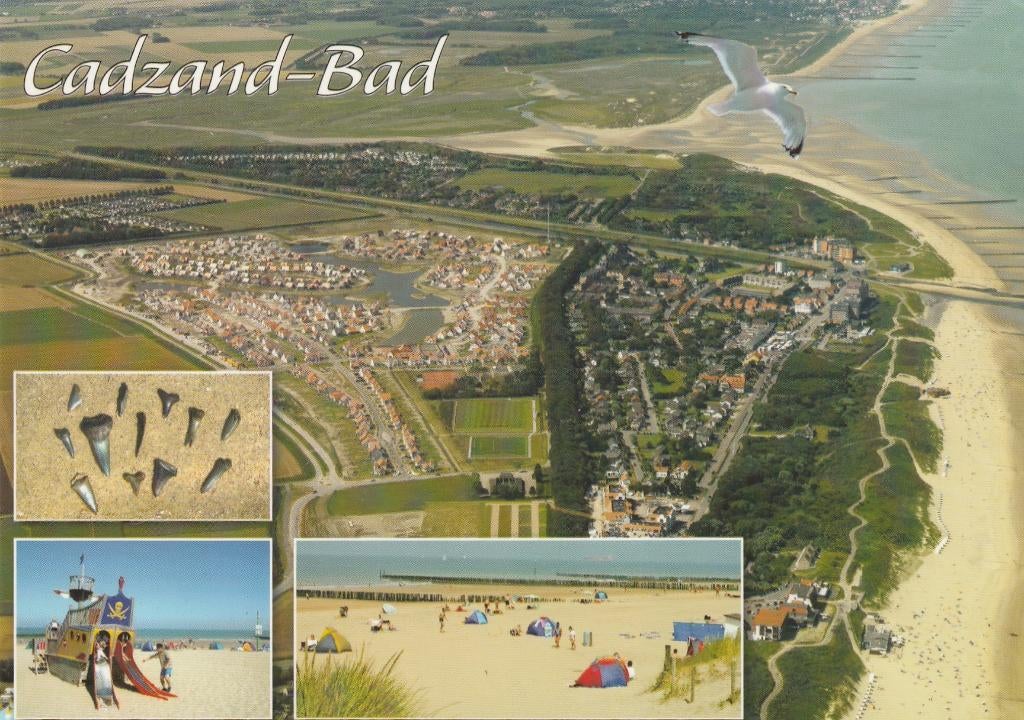 CADZAND BAD Luchtfoto Haaientanden Strand, Verzenden, 1980 tot heden, Ongelopen, Zeeland