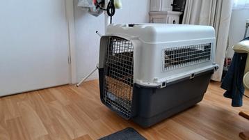 Reis- en kamerbenches voor honden en katten beschikbaar voor biedingen