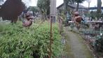 tuinsteker bewegende vogels door de wind metaal, Tuin en Terras, Ophalen of Verzenden, Nieuw