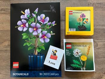Lego Botanicals 10372 30701 & 6586991 - Nieuw in verpakking! beschikbaar voor biedingen