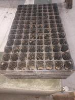 Zaaitrays gebruikt 104 gats, Tuin en Terras, Ophalen, Gebruikt, Minder dan 10 meter