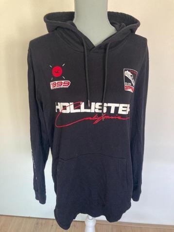 Hoodie/trui met capuchon - Hollister California beschikbaar voor biedingen