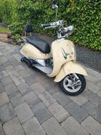 BERINI leuke scooter, Ophalen, Zo goed als nieuw, Overige merken