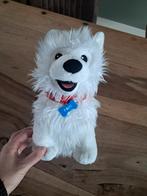 Officiële Paco Knuffel van Rutger en Thomas, Ophalen of Verzenden, Zo goed als nieuw, Hond