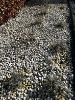 Wit siergrind voor tuin of oprit, Tuin en Terras, Grind, Keien en Split, Ophalen, Overige materialen, Gebruikt, Wit