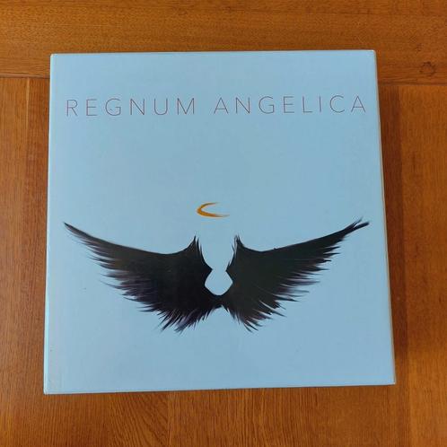 Regnum Angelica bordspel, Hobby en Vrije tijd, Gezelschapsspellen | Bordspellen, Zo goed als nieuw, Ophalen of Verzenden