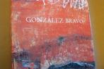 GONZALEZ BRAVO / 1990 - 2000 / Spanje, Boeken, Ophalen of Verzenden, Zo goed als nieuw