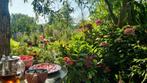 Locatie te huur voor ceremonies & workshops met sauna, Diversen, Ophalen of Verzenden