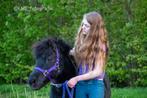 Stalling voor shetlander gezocht, Dieren en Toebehoren, Stalling en Weidegang, Stalling, 1 paard of pony
