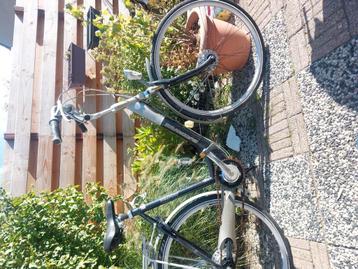 Batavus comfort beschikbaar voor biedingen