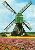 (UT091) Ansichtkaart Lexmond molen De Bonk tulpenvelden, Verzenden, 1980 tot heden, Ongelopen, Utrecht