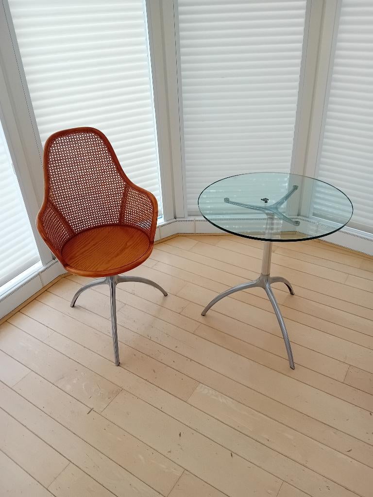 Design set Young Lady stoel en  Tree Table (Paolo Rizzatto), Ophalen, Gebruikt