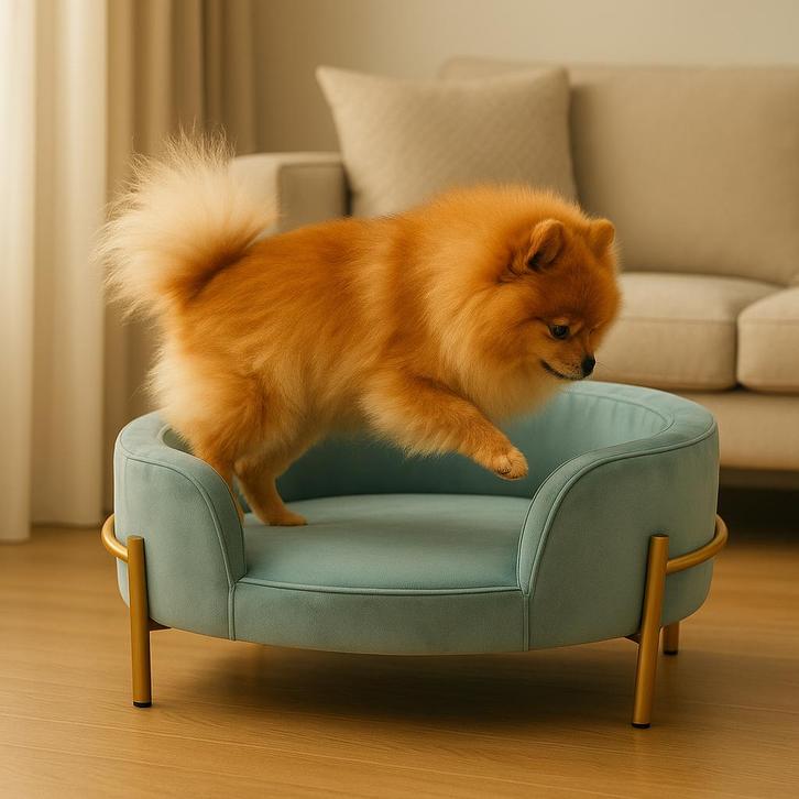 Hondensofa Zofina, Dieren en Toebehoren, Hondenmanden, Nieuw, Stof, Verzenden