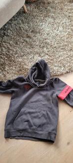 Jongens trui, Ophalen of Verzenden, Gedragen, Maat 48/50 (M), Grijs