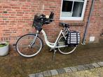 Mooie batavus Moederfiets met Windscherm, Ophalen, 1 zitje, 53 tot 56 cm, Gebruikt
