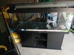 Juwel rio 450 aquarium nu 200euro dit weekend ophalen, Ophalen, Gebruikt, Leeg aquarium