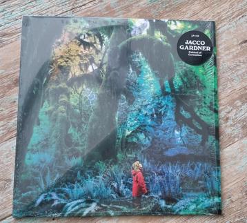 Jacco Gardner - Cabinet of Curiosities LP + CD - Nieuw! beschikbaar voor biedingen