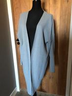 Prachtig lang vest studio Ruig grijs, Kleding | Dames, Verzenden, Zo goed als nieuw, Maat 46/48 (XL) of groter, Grijs