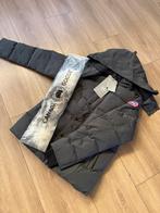 Canada goose jas, Kleding | Heren, Jassen | Winter, Maat 48/50 (M), Canada Goose, Nieuw, Ophalen of Verzenden