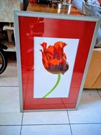 Gedegen zware lijst. Prachtig. Geen schade 60 x 90 cm., Antiek en Kunst, Kunst | Litho's en Zeefdrukken, Ophalen of Verzenden