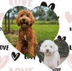 Prachtige Australian Labradoodle F4B Pups!, Rabiës (hondsdolheid), Overige rassen, 8 tot 15 weken, Meerdere