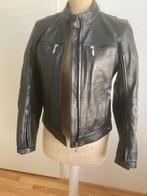 Lederen motorkleding dames, Motoren, Combipak, Dames, Tweedehands, Ophalen